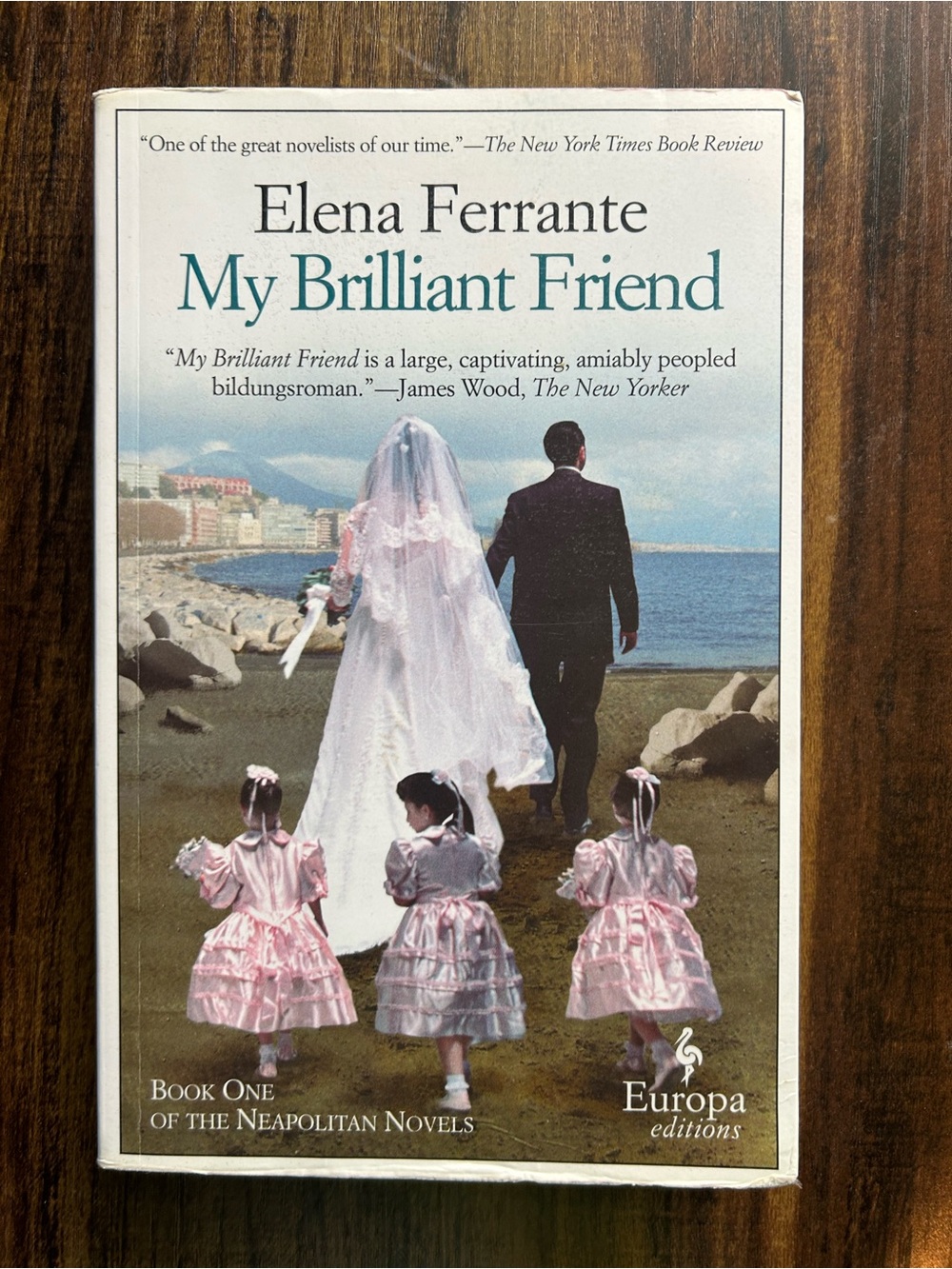 Elena Ferrante "My Brilliant Friend" Paperback – White & Pastel Cover